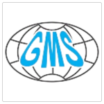 GMS INTERNATIONAL
